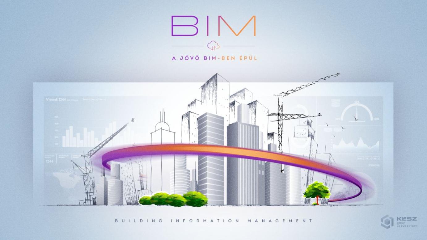 BIM program